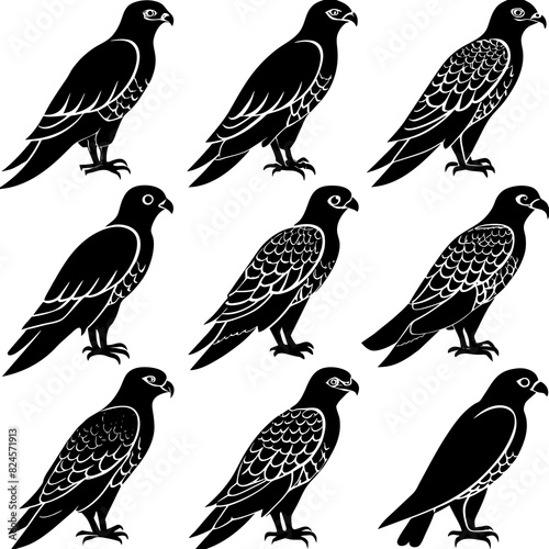 a-set-of-9pcs-falcon-animal-silhouette-vector-on-a