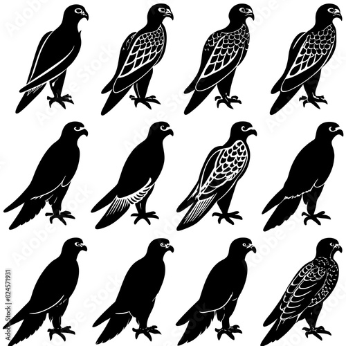 a-set-of-9pcs-falcon-animal-silhouette-vector-on-a