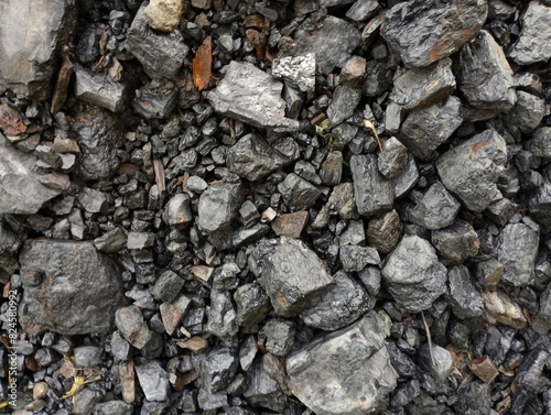 Wallpaper Mural Texture of black large coal. Large pieces of coal on a pile. Fuel material of natural origin for heating the house. The topic of coal mining and the coal industry. Torontodigital.ca