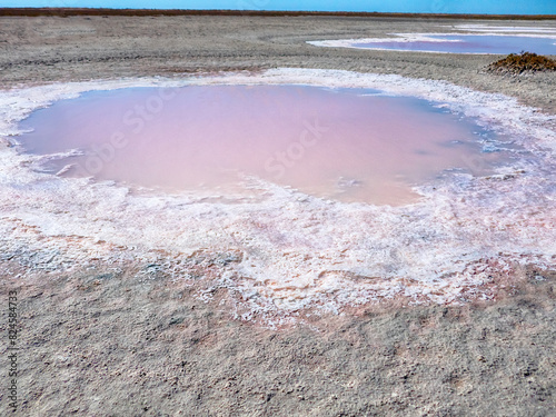 Subsidence funnels on salt marsh are filled with lakes of diverse colors. Red color caused by bacterias Dunaliella salina, Salinibacter ruber, white cloudy color due concentration of hydrogen sulfide