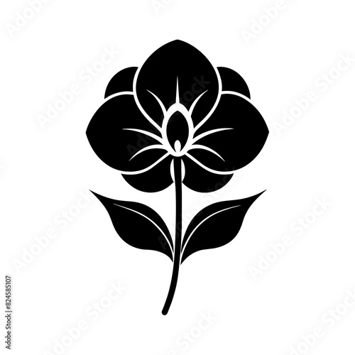 A minimalist Sweet Pea flower vector illustration 