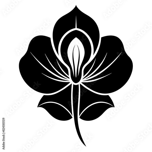 A minimalist Sweet Pea flower vector illustration 