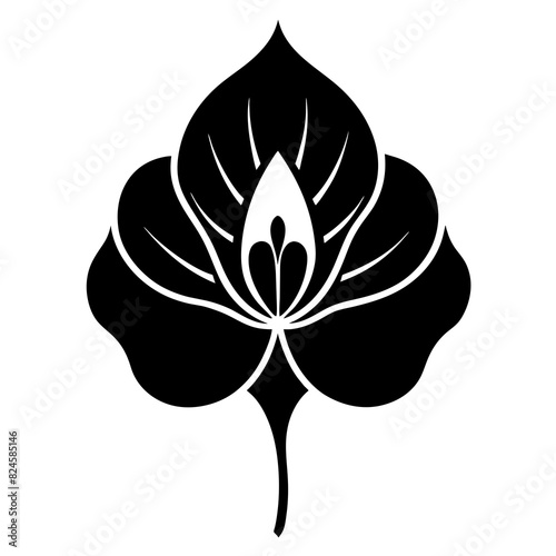 A minimalist Sweet Pea flower vector illustration 