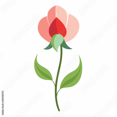 A minimalist Sweet Pea flower vector illustration 