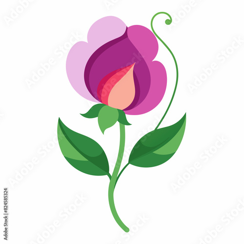 A minimalist Sweet Pea flower vector illustration 