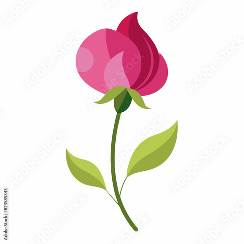 A minimalist Sweet Pea flower vector illustration 