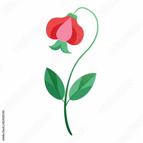 A minimalist Sweet Pea flower vector illustration 