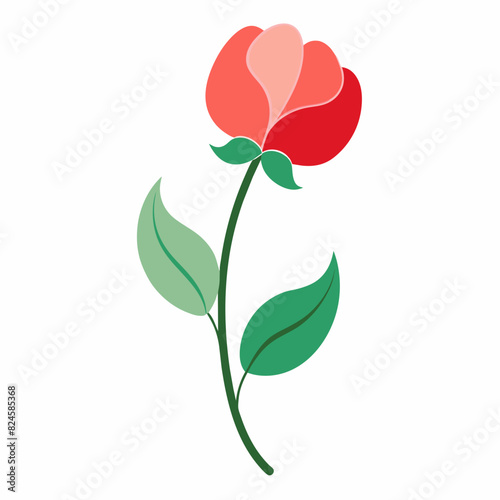 A minimalist Sweet Pea flower vector illustration 