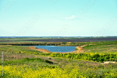 A small depression in the middle of the steppe. Steppe alkali flat as a temporary, drying lake, ephemeral stream and pond. Northern Black Sea region photo