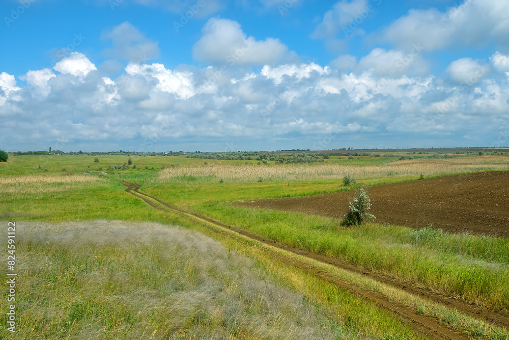 Fototapeta premium Feather-grass true steppe. Northern Black Sea region. Most common is (Stipa lessingiana or Stipa brauneri). Ephemeral river valley slope, reeds, partial grazing upland meadow, harvested runoff. Crimea