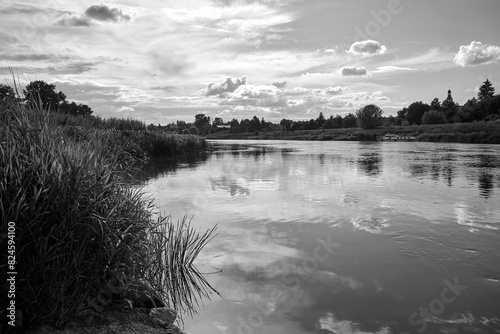 rural landscape with the Warta river and forest during summer