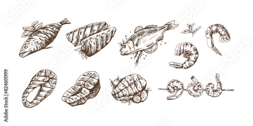 Hand-drawn monochrome vector sketch of barbecue fish and pieces of barbecue salmon steaks, prawns, shrimps. Doodle vintage illustration. Decorations for the menu of cafes and labels.