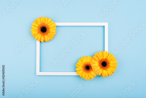 Empty picture frame with gerbera flowers on blue pastel background. Greeting card template with copy space. Holiday concept