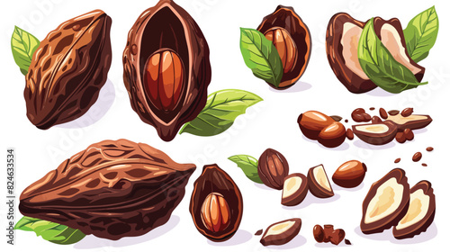 Cartoon cocoa beans. Ripe cacao pod with seed plant 