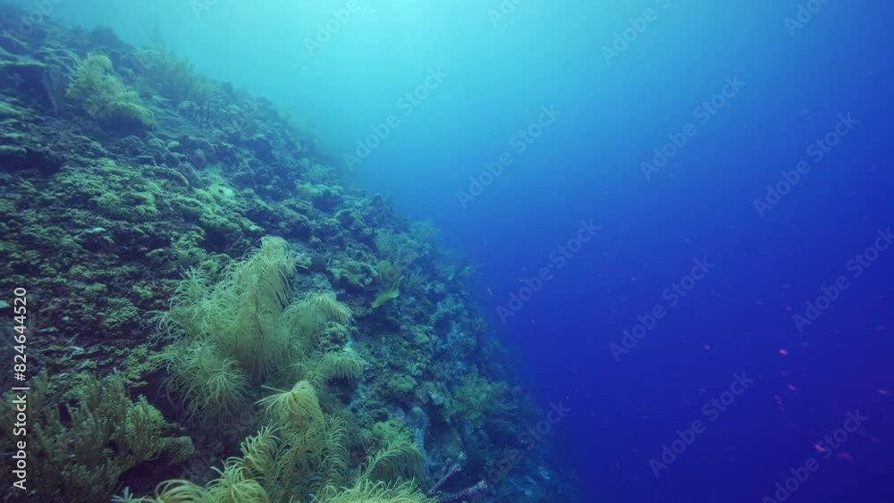 HDR: Undersea drop-off in the Caribbean Sea HDR: Undersea drop-off in the Caribbean Sea