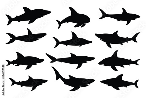 Set of bamboo Shark animal black silhouette vector on white background photo