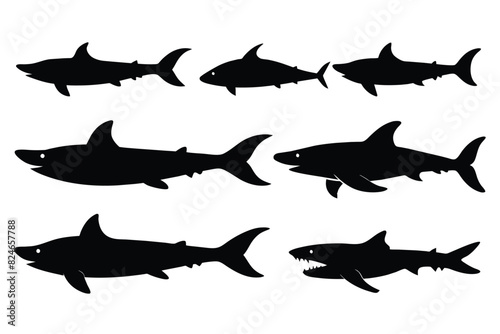 Set of bamboo Shark animal black silhouette vector on white background