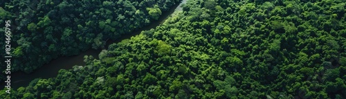 Aerial view of a dense, lush green forest with a winding river running through it, displaying the beauty of natural wilderness.