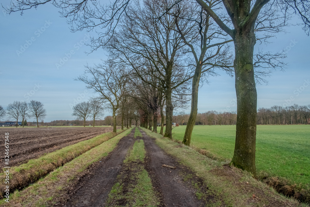 The image portrays a typical winter scene in the countryside, featuring a narrow, muddy trail cutting through plowed fields, with bare trees standing sentinel on either side. The sky is clear The image portrays a typical winter scene in the countryside, featuring a narrow, muddy trail cutting through plowed fields, with bare trees standing sentinel on either side. The sky is clear