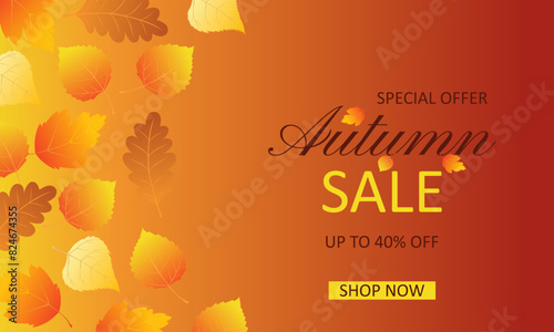 Autumn sale banner with falling autumn leaves and sale text.40  off for promotions.Leaflet invitation flyer cards with special offer.Vector.