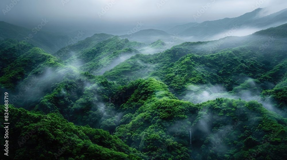 A breathtaking aerial view of lush green mountains shrouded in mist, capturing the serene and untouched beauty of nature. A breathtaking aerial view of lush green mountains shrouded in mist, capturing the serene and untouched beauty of nature.