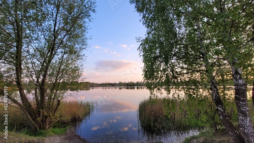 lake in the forest