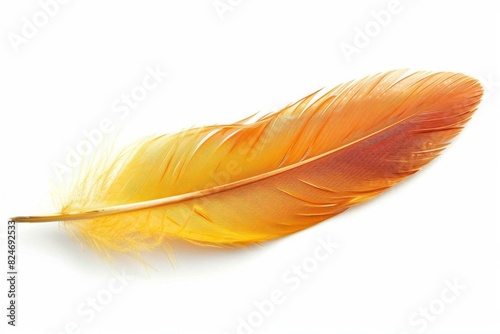 Bright orange feather isolated on white background  showcasing delicate and intricate details of the bird s natural plumage.