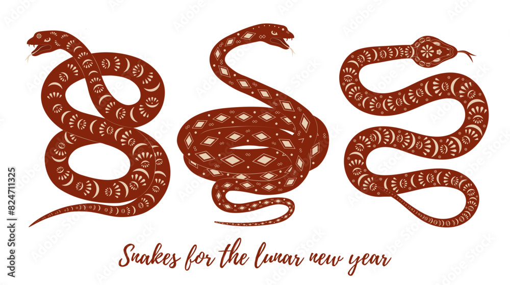 Set of vector festive snakes with geometric ornament for lunar chinese new year celebration. Happy new year lunar in China Set of vector festive snakes with geometric ornament for lunar chinese new year celebration. Happy new year lunar in China