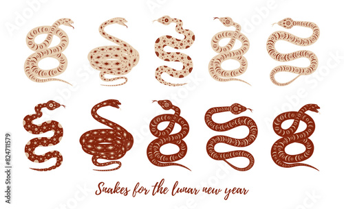 Set of vector festive snakes with geometric ornament for lunar chinese new year celebration. Happy new year lunar in China