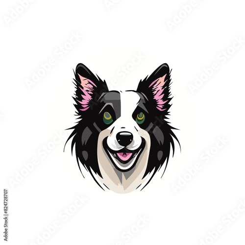 border collie dog