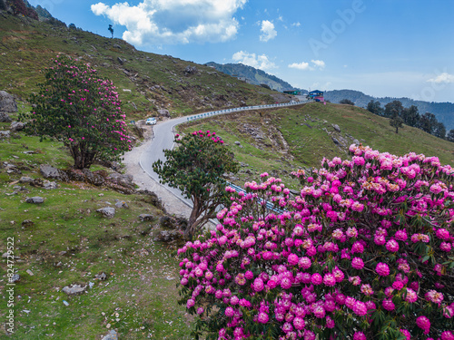 Chopta near Ukhimath Uttarakhand India Gateway to Tungnath Mahadev Temple photo