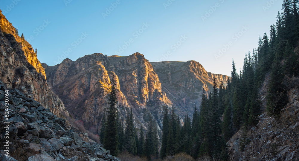the golden light of sunrise or sunset on a rugged mountain range, with evergreens in the foreground and a clear blue sky above