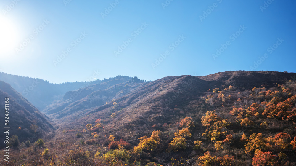 a sunlit mountain slope dotted with trees displaying vibrant autumn colors, under a bright blue sky with sunlight streaming from the corner