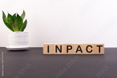 Small business meeting, with four people in a small stylish conference room with grass on the floor, discussing strategy, growth, sustainability and environmental inpact of business, photo