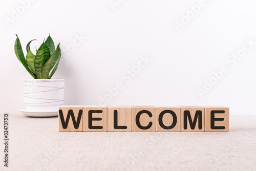 WELCOME word with building blocks on a light background and a green flower