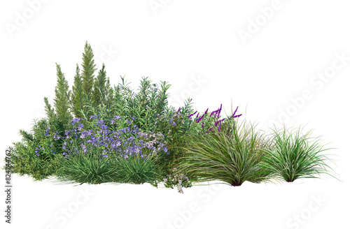 Fototapeta Naklejka Na Ścianę i Meble -  3d render group flowers and low shrubs for landscaping, transparent background