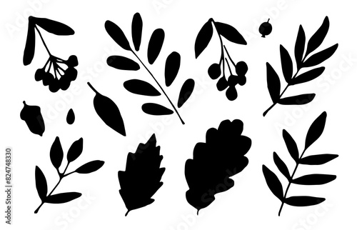 Simple vector set for autumn design. Black silhouette of leaves, branches, rowan berries, acorn.