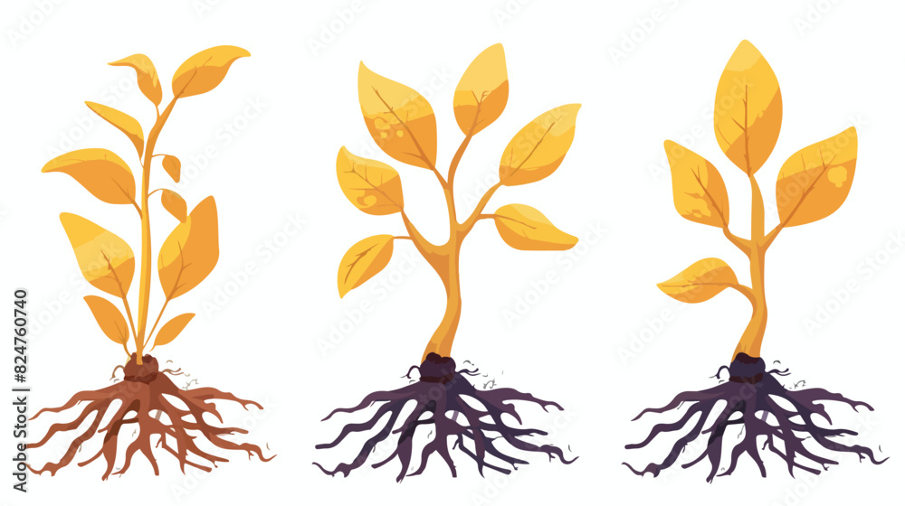 Plant root icon. Yellow growing natural shape Cartoon