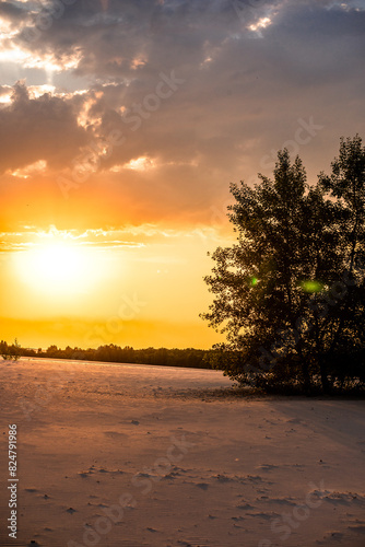 Orange sunset over the beach . Trees on the beach. Contrast sun . Sun in the summer evening . Red sunset . Quary with sand . Sunlight 
