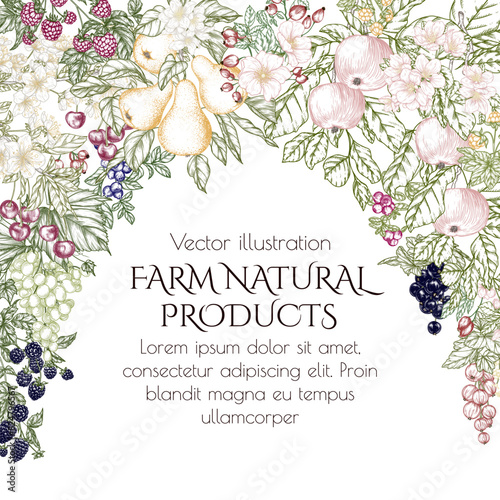 Vector frame arch of fruits and berries. Cherries, grape, apples, rose hips, raspberries, blackberries, cloudberries, lingonberries, blueberries, pear, currant