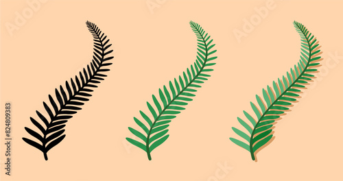 tropical leafs design, vector illustration eps10 graphic.