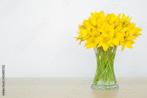 Wallpaper Mural Beautiful fresh yellow wild tulip flowers bouquet in glass vase on wooden table at light gray wall background. Closeup. Empty place for inspirational text, quote or sayings. Front view. Torontodigital.ca