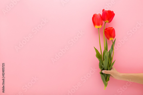Young adult woman hand holding fresh beautiful red tulip flowers with green leaves on light pink wall background. Pastel color. Closeup. Congratulation concept. Front view. Empty place for text.