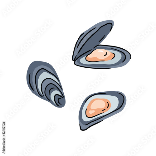 Mussels isolated on white background. Sea food set. Mussels and oysters vector illustration.