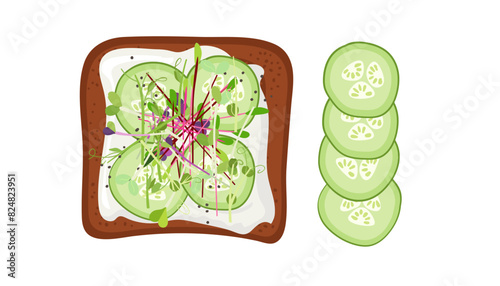 Healthy Open Sandwich with cucumber, micro greens, soft ricotta cheese on toasted bread. Top view Vector for menu, cafe, restaurant, poster, banner, sticker. Delicious Healthy breakfast or snack