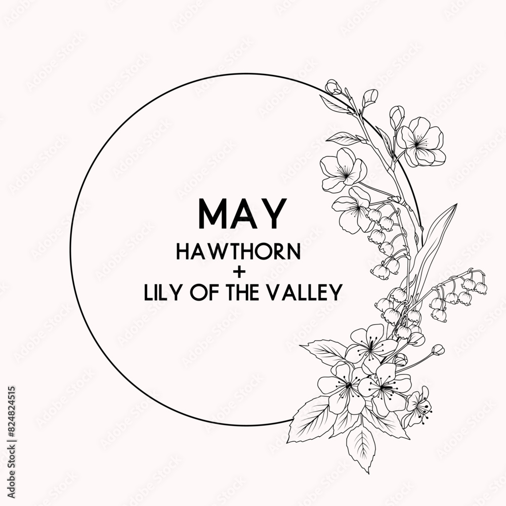 May birth month flower wreath, hawthorn and lily of the valley flower border, vector hand drawn isolated line art botanical frame for greeting cards and invitations