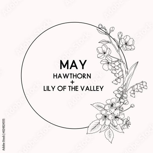 May birth month flower wreath, hawthorn and lily of the valley flower border, vector hand drawn isolated line art botanical frame for greeting cards and invitations