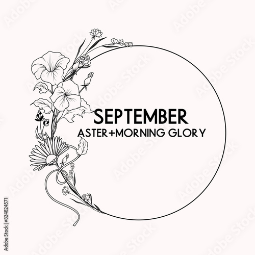 September birth month flower wreath, aster and morning glory flower border, vector hand drawn isolated line art botanical frame for greeting cards and invitations