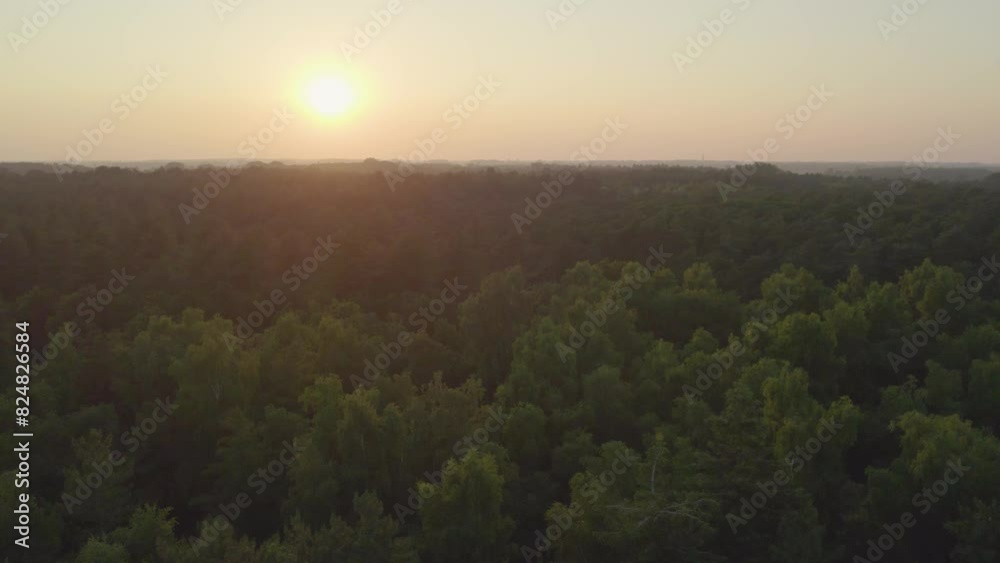 Aerial view of dense forest with lush greenery under stunning sunset, creating tranquil natural scene Aerial view of dense forest with lush greenery under stunning sunset, creating tranquil natural scene
