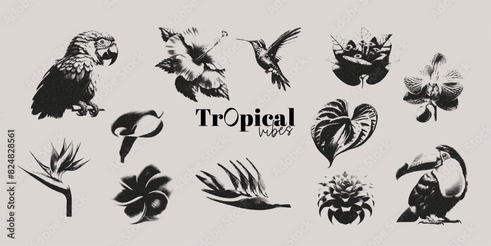 Tropical flowers and birds photocopy effect elements set with grunge stippling grain messy texture. Trendy y2k aesthetic vector illustration. Ideal for poster design, t shirt Tropical flowers and birds photocopy effect elements set with grunge stippling grain messy texture. Trendy y2k aesthetic vector illustration. Ideal for poster design, t shirt